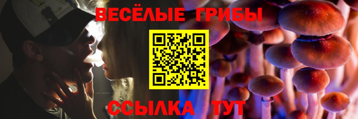 Псилоцибиновые грибы прущие грибы  Вход с VPN  Дагестанские Огни 